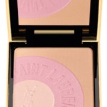YSL, Yves Saint Laurent, Spring 2010, Y-Mail palette