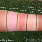 Trish McEvoy, swatches, Easy Going, Peony Pink, Natural, Perfect 1, Perfect 3