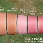 MAC, In the Groove, swatches, Happy Together, A Little Bit of Sunshine, Hang Loose, Band of Roses, New Vibe, KarlaSugar, Karla Sugar