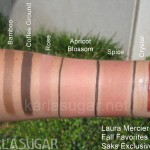 Laura Mercier, Fall Favorites, set, collection, Saks, palette, swatches, Stellar, Bamboo, Coffee Ground, Rose, Apricot Blossom, Spice, Crystal, Black Currant, Orchid, lipgloss, blush, eyeshadow, KarlaSugar, Karla Sugar