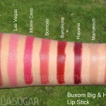 Buxom, Big and Healthy, Lip Stick, swatches, Brooklyn, Las Vegas, Monte Carlo, Bombay, Barcelona, Havana, Marrakech, Amsterdam, KarlaSugar, Karla Sugar