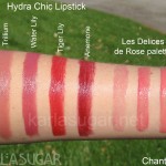 Chantecaille, Hydra Chic, lipstick, swatches, Trillium, Water Lily, Tiger Lily, Anemone, Les Delices de Rose, palette, KarlaSugar, Karla Sugar
