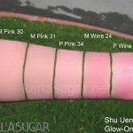 Shu Uemura, Glow On, blush, swatches, M Pink 30, M Pink 31, P Pink 34, M Wine 24, P Wine 25, KarlaSugar, Karla Sugar