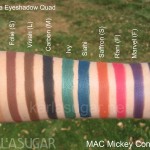MAC, Mickey Contractor, swatches, Athma, quad, Jaan, Folie, Vivah, Carbon, Ivy, Siahi, Saffrom, Rani, Marvel, Oomph, KarlaSugar, Karla Sugar