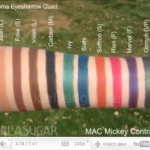 Mickey-Contractor-Video-screencap