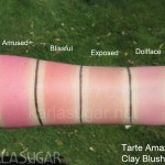 Tarte, Amazonian Clay Blush, swatches, Amused, Blissful, Exposed, Dollface, KarlaSugar, Karla Sugar