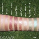 MAC, Flighty, swatches, Big Bounce Shadows, The Cool Elite, Good Fortune, Trophy, Reward Yourself, Sizzlin' Diva, Up the Ante!, Impeccably Rich, Spread the Wealth, Extra Charged, My Next Indulgence, KarlaSugar, Karla Sugar