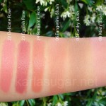 Burberry, Spring, 2011, Delicate Rose, English Rose, Romantic Rose, Tangerine, Earthy, Misty