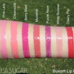 Buxom, Big and Healthy Lip Cream, swatches, Pink Lady, Creamsicle, Berry Blast, Mudslide, Purple Haze, White Russian, Cherry Flip, KarlaSugar, Karla Sugar
