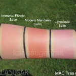 MAC, Tres Cheek, swatches, Immortal Flower, Modern Mandarin, Lovecloud, KarlaSugar, Karla Sugar